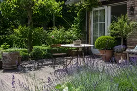 Viva la France! Zo haal je een beetje Frankrijk naar jouw achtertuin of balkon